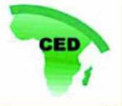 Logo CED 2002