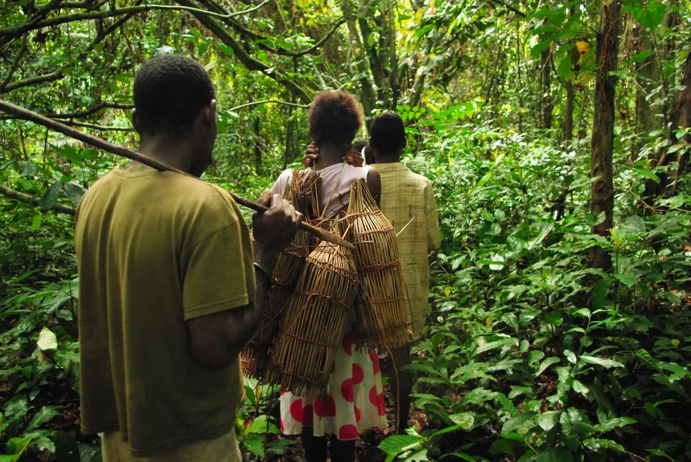 Nasses de pêche portées en forêt