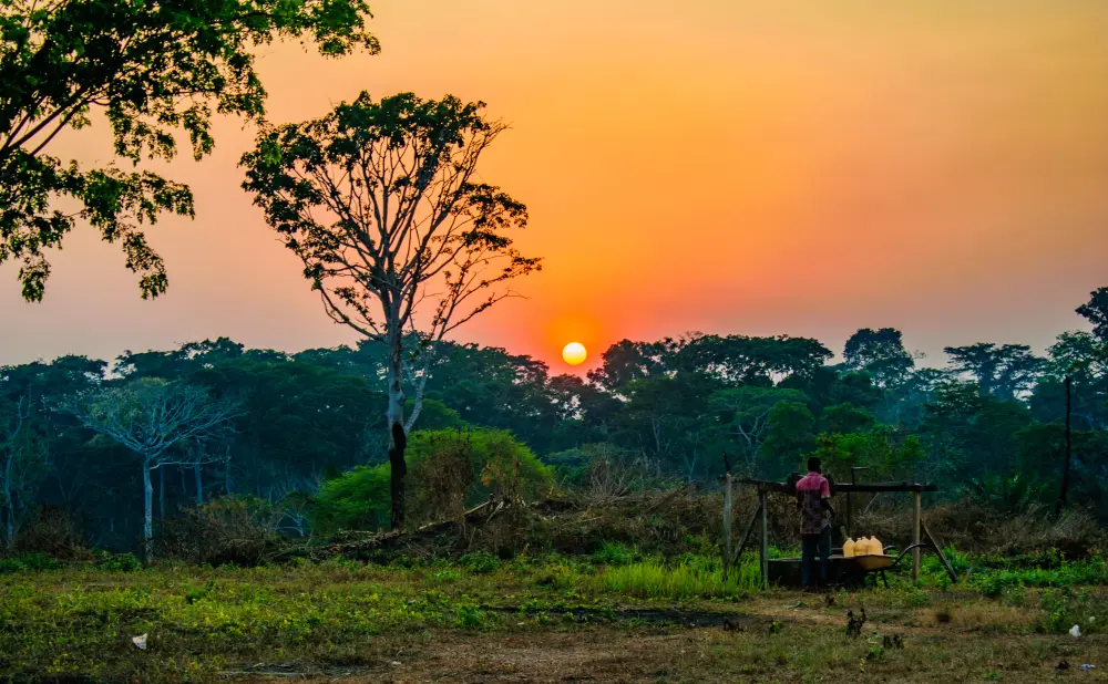 Coucher de soleil sur la savane