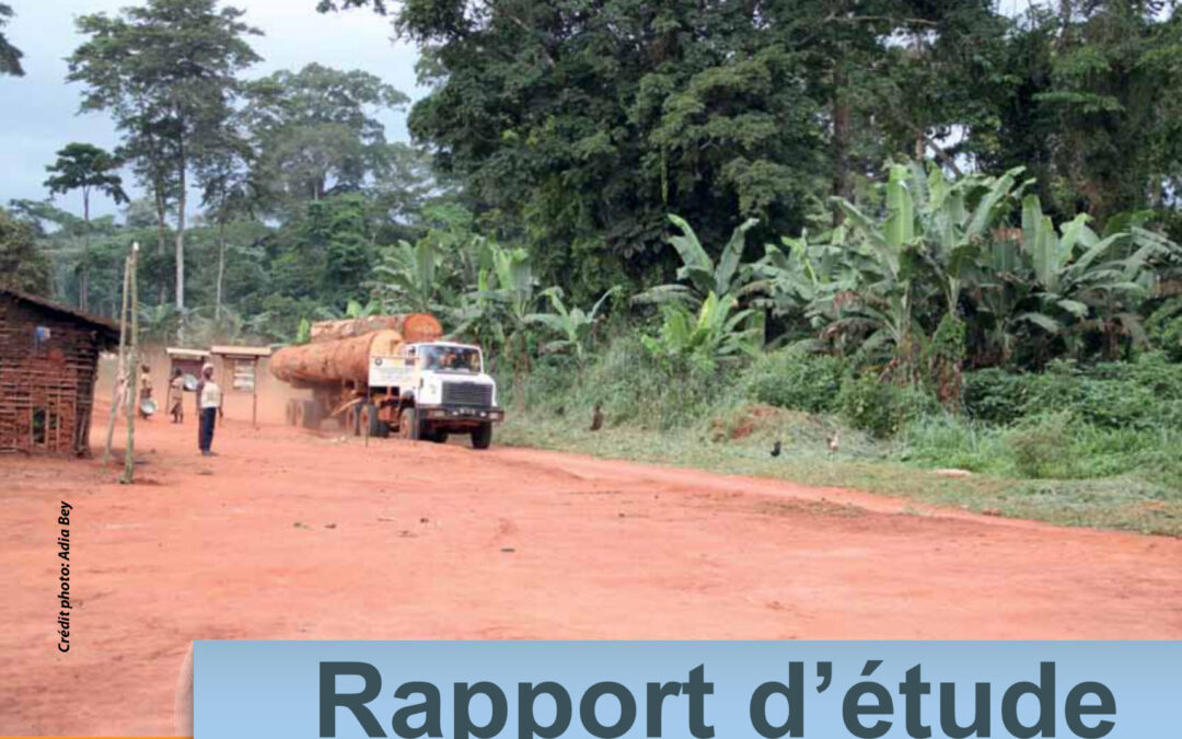 FLEGT, REDD+ etdroits des communautésaux forêts et à la terre en Afrique