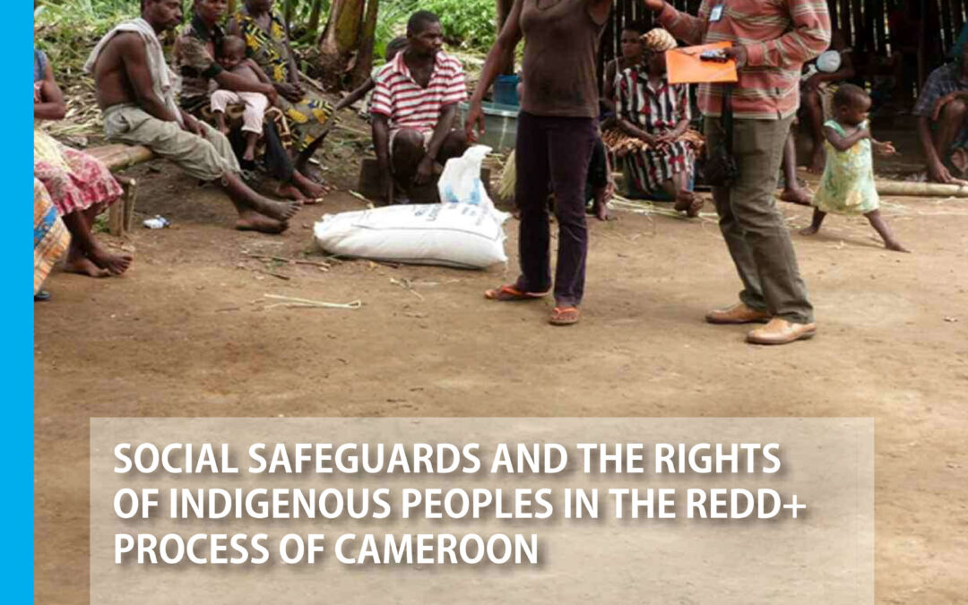 SOCIAL SAFEGUARDS AND THE RIGHTS OF INDIGENOUS PEOPLES IN THE REDD+ PROCESS OF CAMEROON