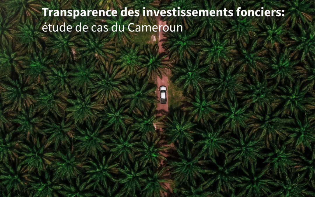 Transparence des investissements fonciers:étude de cas du Cameroun