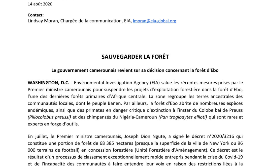 Le gouvernement Camerounais revient sur la décision concernant la forêt d’Ebo