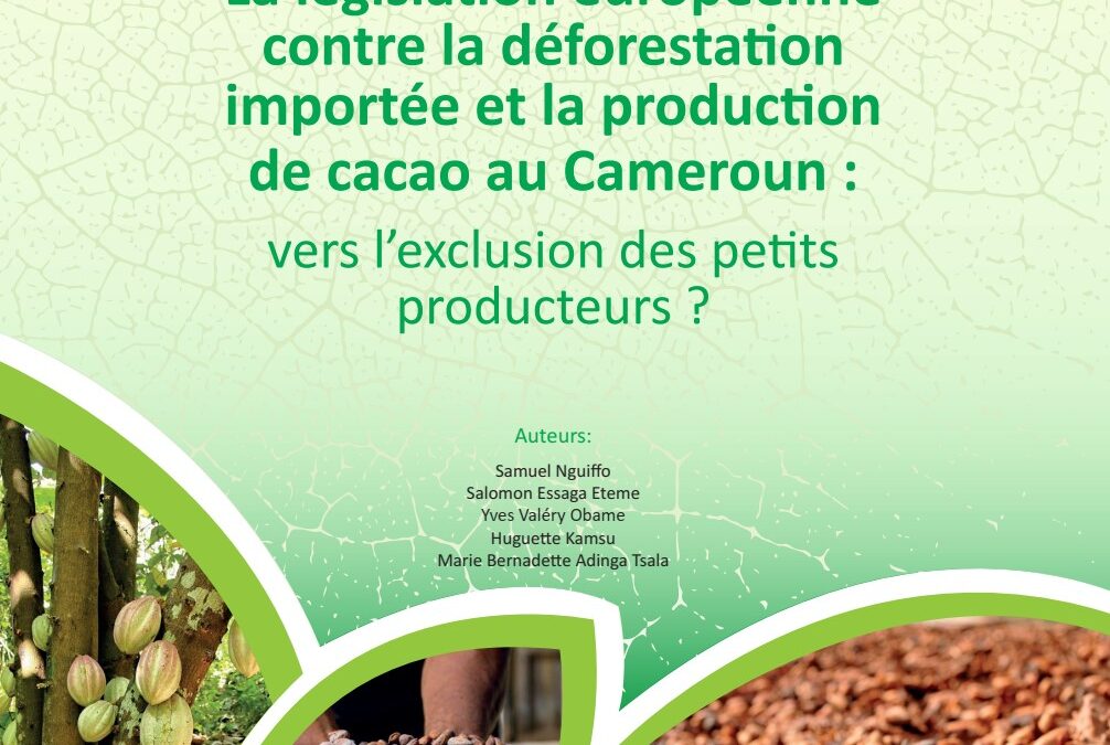 La législation européenne contre la déforestation importée et la production de cacao au Cameroun : vers l’exclusion des petits producteurs ?