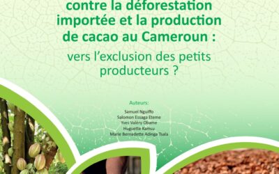 La législation européenne contre la déforestation importée et la production de cacao au Cameroun : vers l’exclusion des petits producteurs ?