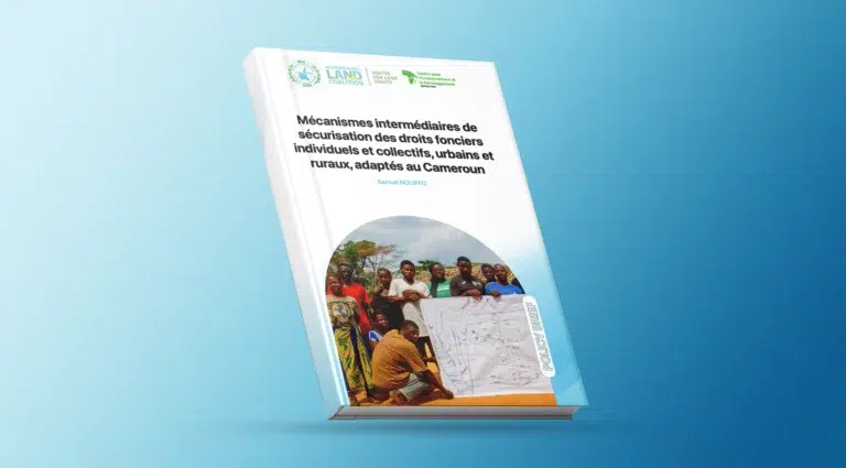 policy brief mecanismes