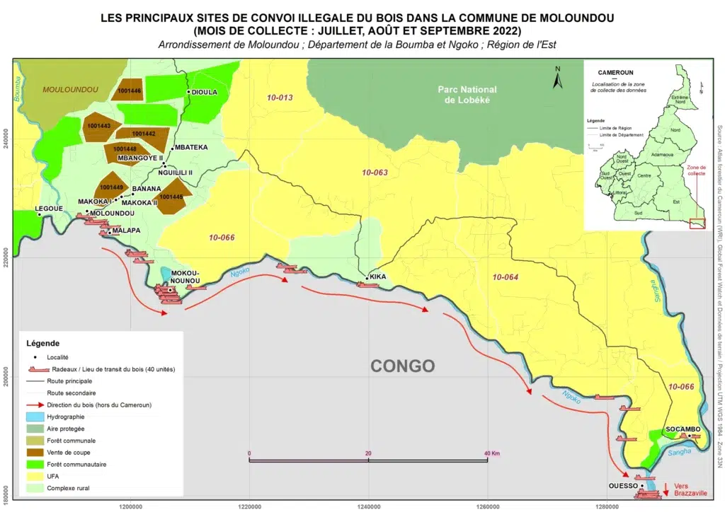 Convoi du bois sur les fleuves Boumba-et-Ngoko (Arrondissement de Moloundou)